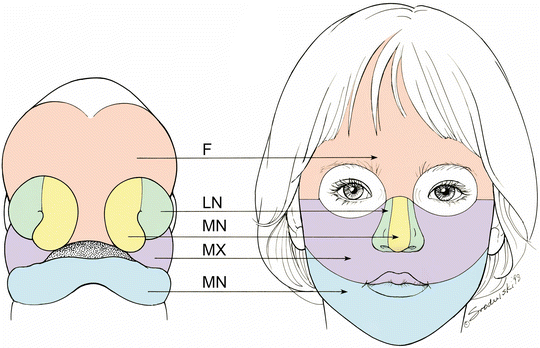 courseimage