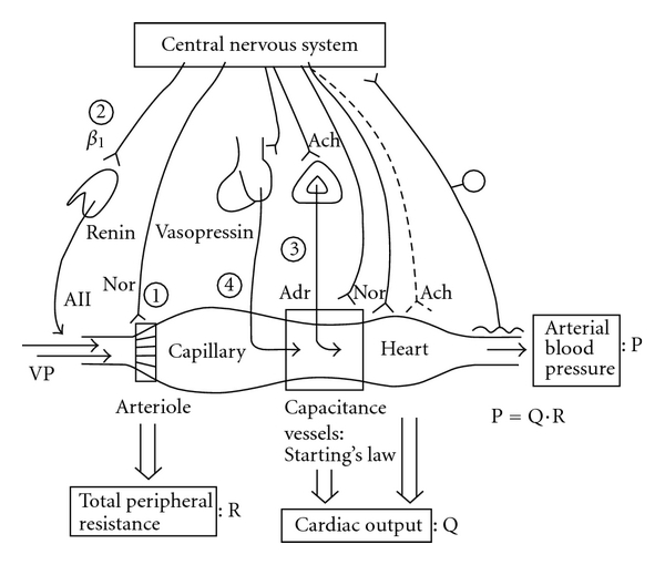 courseimage