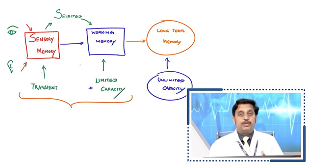 Principles of Making Educational Videos