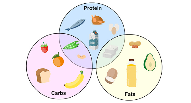 Macronutrients