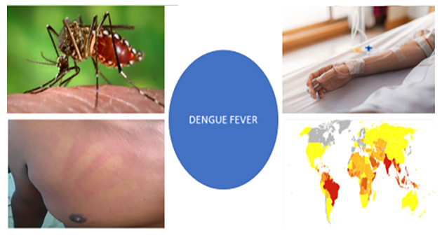 Dengue Fever 