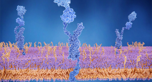 Role of Vectors in Causation/Transmission of Diseases