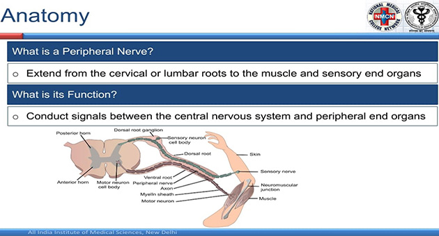 Peripheral Nerve Injury