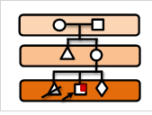 How To Draw a Pedigree