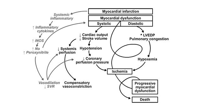 Pathogenesis of Shock