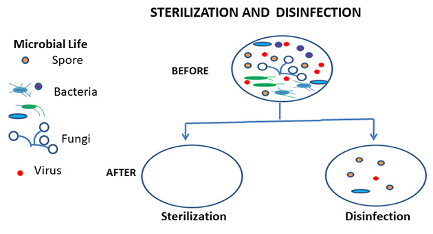 Sterilization and Disinfection