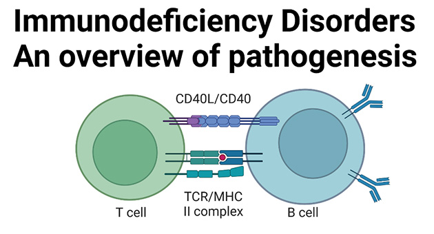 Immunodeficiency Disorders: An Overview of Pathogenesis