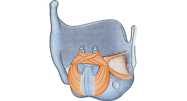 courseimage