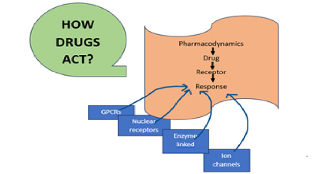 Drug action and Receptors