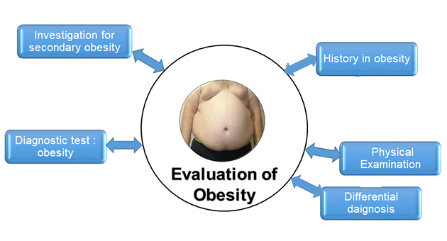 Evaluation of Obesity