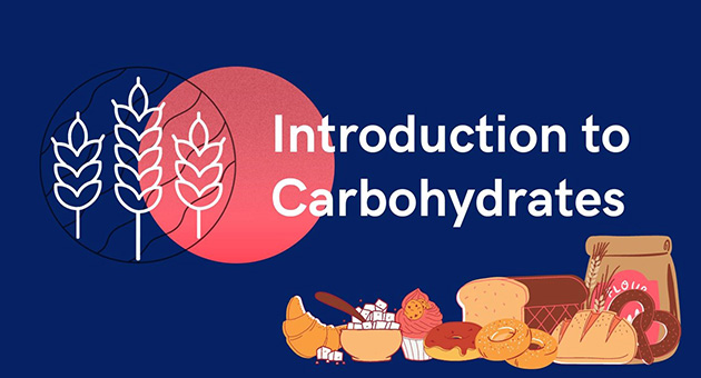 Introduction to Carbohydrates