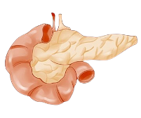 Definition and Etiopathogenesis of Diabetes and its Complications