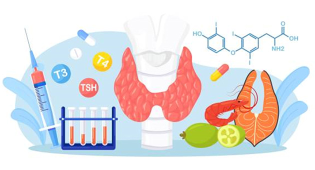 Management of Thyroid Disorder