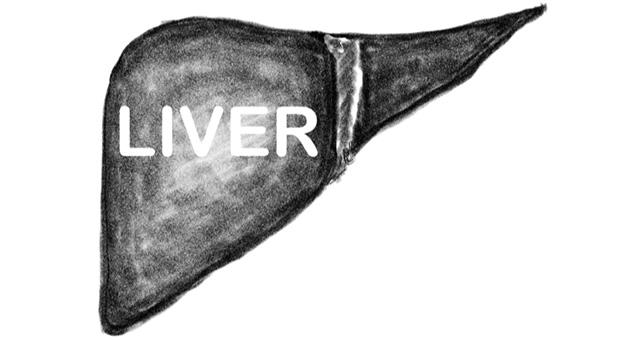 Liver